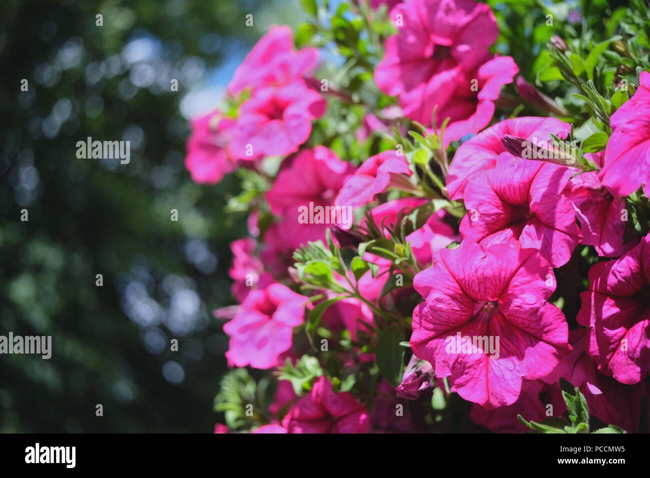 Beautiful english countryside hi-res stock photography and images - Alamy