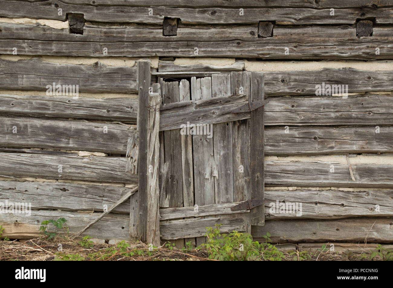 Weathered grungy old log cabin wall with old wooden door background wallpaper Stock Photo