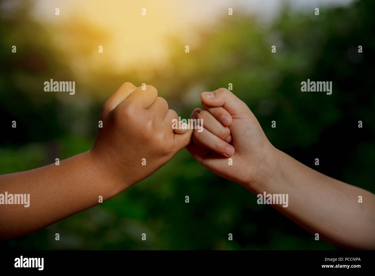 Two hands hook each other's little finger concept of promise Stock Photo -  Alamy