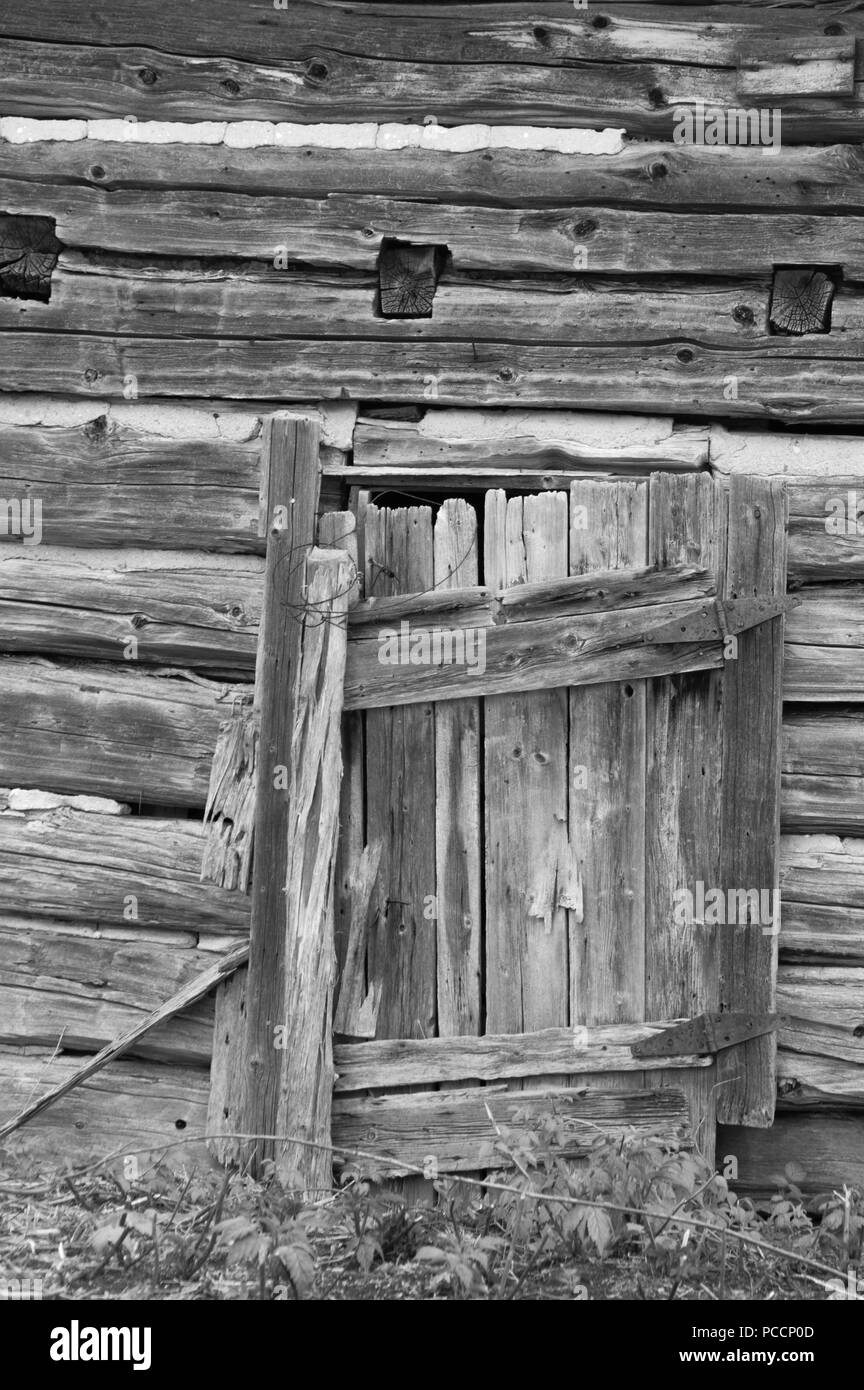 Weathered grungy old log cabin wall with old wooden door background wallpaper bw Stock Photo
