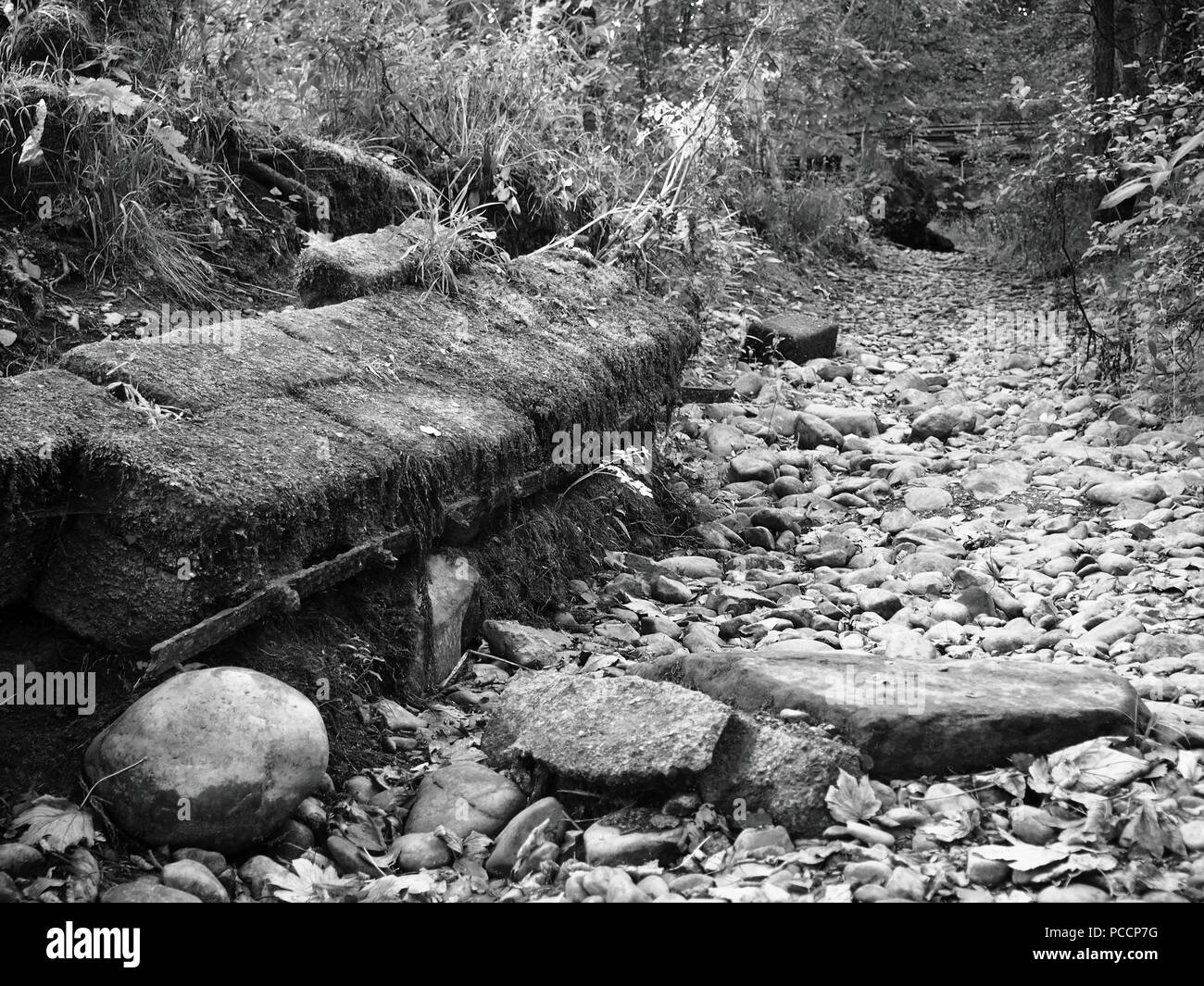 Derelict Mill Race by the River Derwent, Cockermouth, Cumbria, United