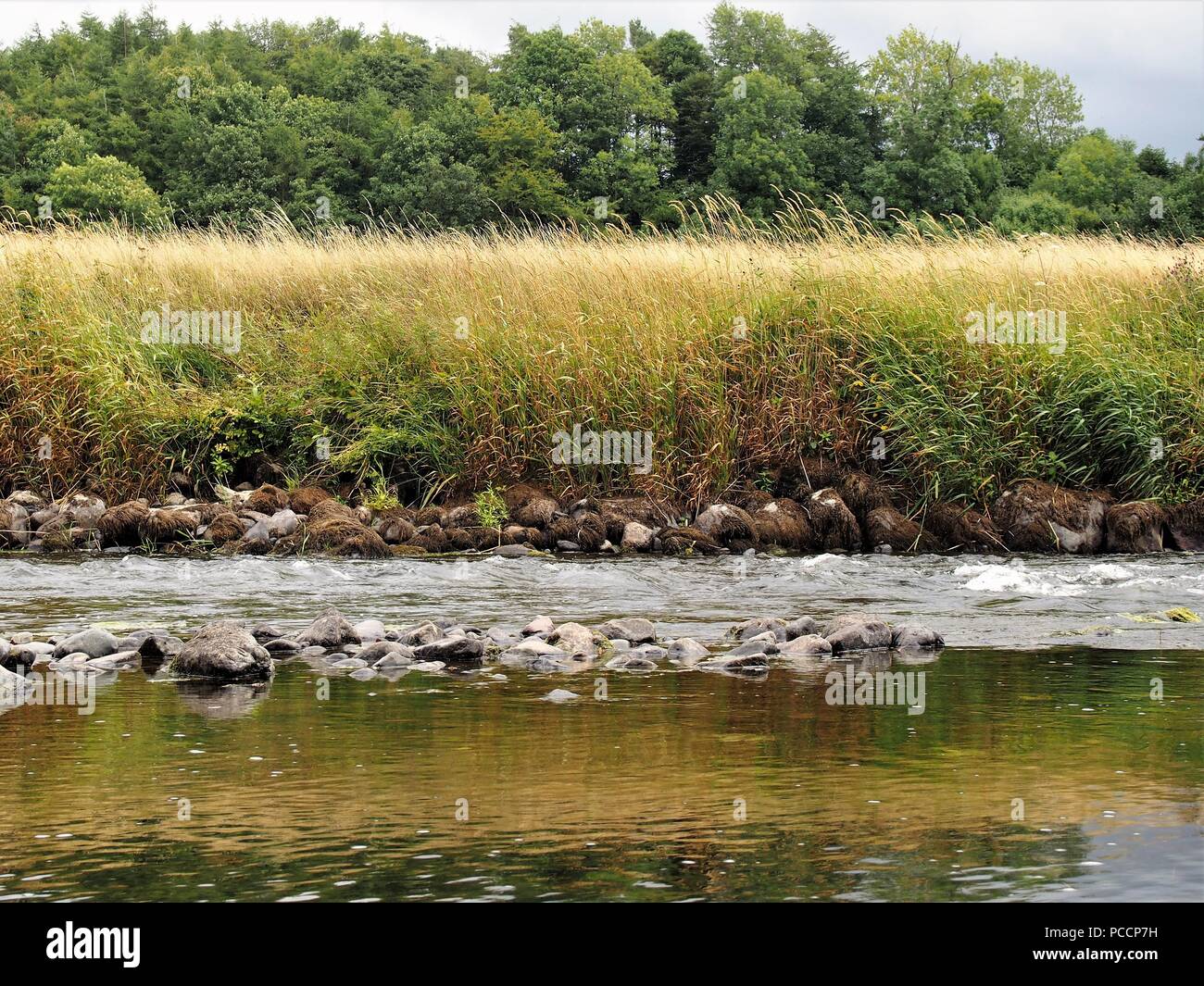 The point at which slow flowing water, from a Mill Head Race, rejoins the main channel of the River Derwent, Cockermouth, Cumbria, United Kingdom Stock Photo