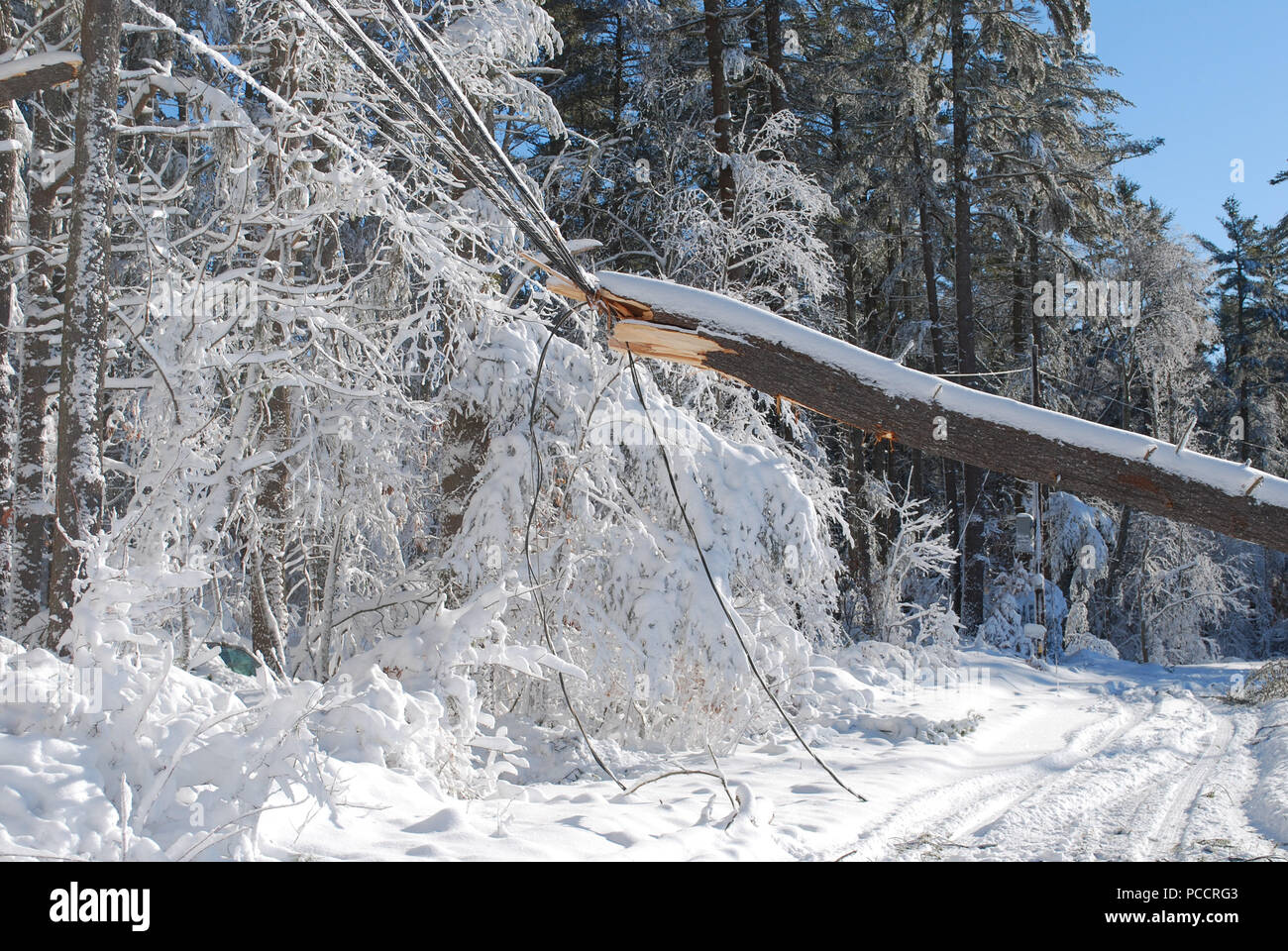 Ice power outage hi-res stock photography and images - Alamy