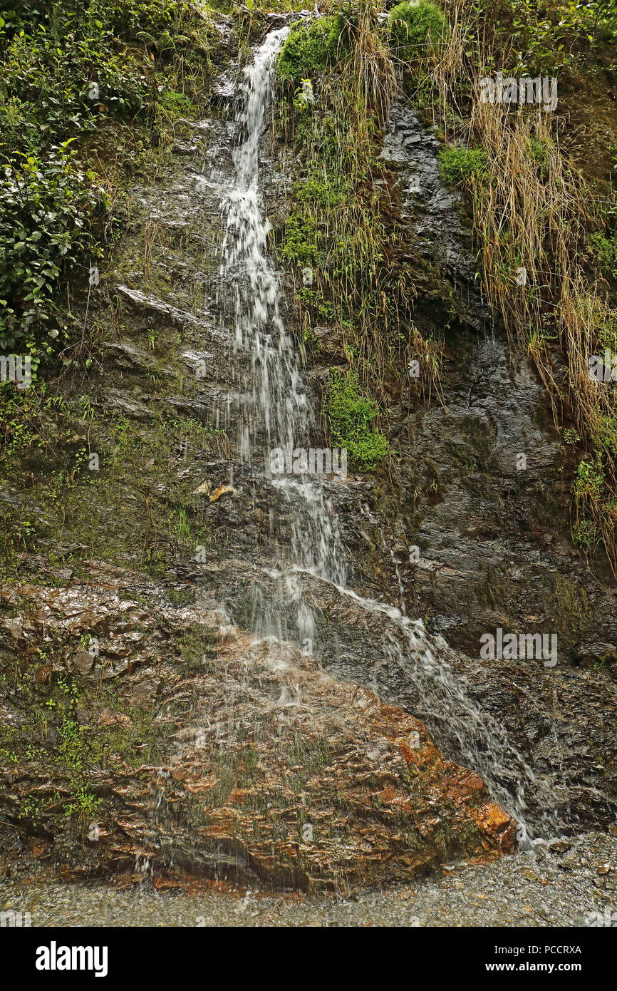 waterfall on rock face  Tapichalaca Reserve, Zamora-Chinchipe Province, Ecuador Stock Photo