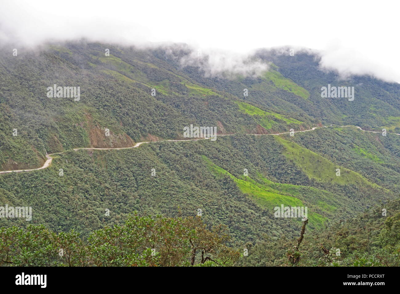view over mountainside with low clouds  Tapichalaca Reserve, Zamora-Chinchipe Province, Ecuador Stock Photo