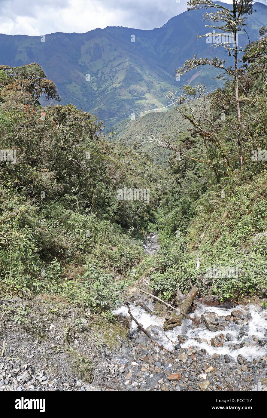 view up rocky valley in the mountains  Tapichalaca Reserve, Zamora-Chinchipe Province, Ecuador Stock Photo