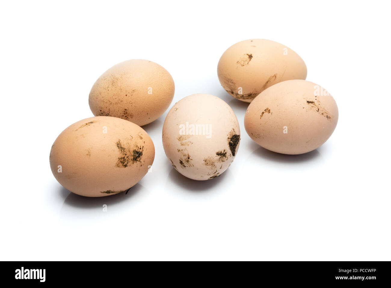 Group of dirty chicken eggs on white background, with shadows and
