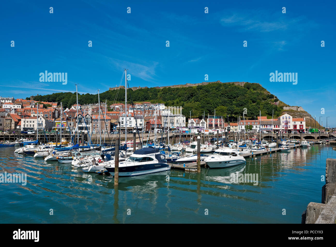 Boats moored in the harbour harbor marina in summer Scarborough North Yorkshire England UK United Kingdom GB Great Britain Stock Photo