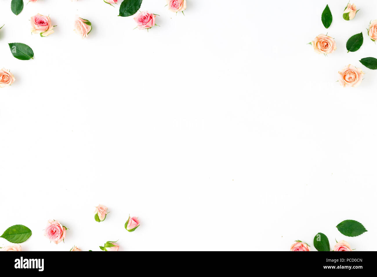 Frame made of pink roses and green leaves. Floral pattern on white ...