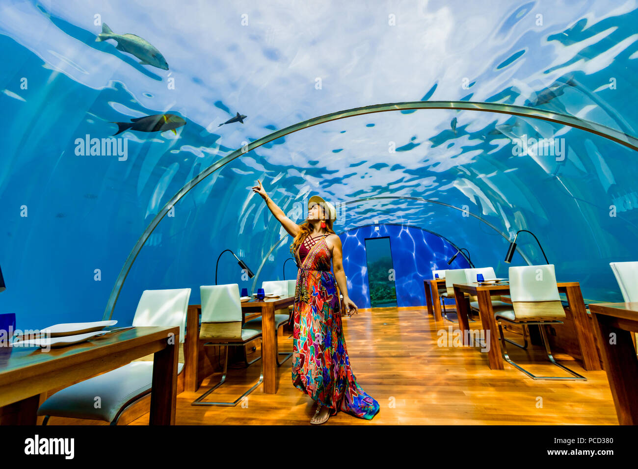 Views from Ithaa, the undersea restaurant at Conrad Maldives, Maldives, Indian Ocean, Asia Stock Photo