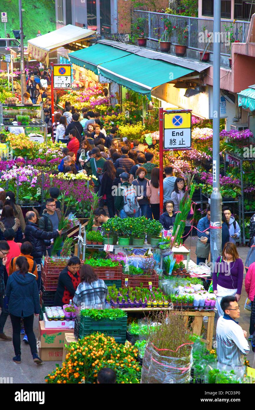 Chinese New Year Flower Market, Hong Kong, China, Asia Stock Photo Alamy