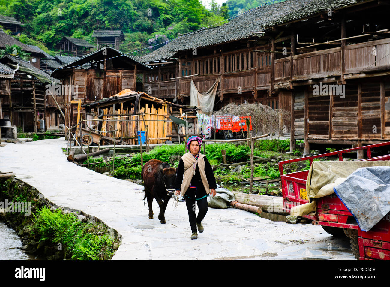 Typical Dong Village,Wooden Houses,Huanggang Dong Village,Dong Costumed Girls,Singing to Students,,Dwellings,Guizjou,PRC,People's Republic of China Stock Photo