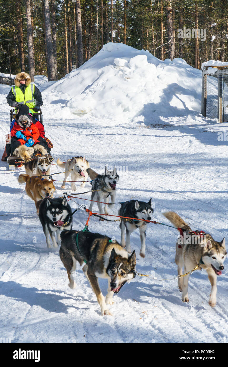 Six husky dog team with sled, driver and two passengers, Husky Farm, Torassieppi, Lapland, Northern Finland, Europe Stock Photo