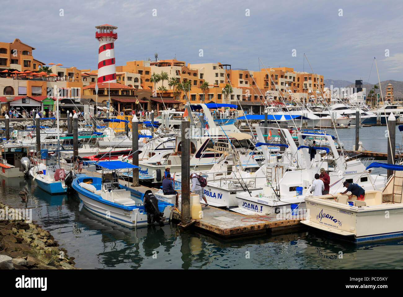 Marina, Cabo San Lucas, Baja California Sur, Mexico, North America Stock Photo