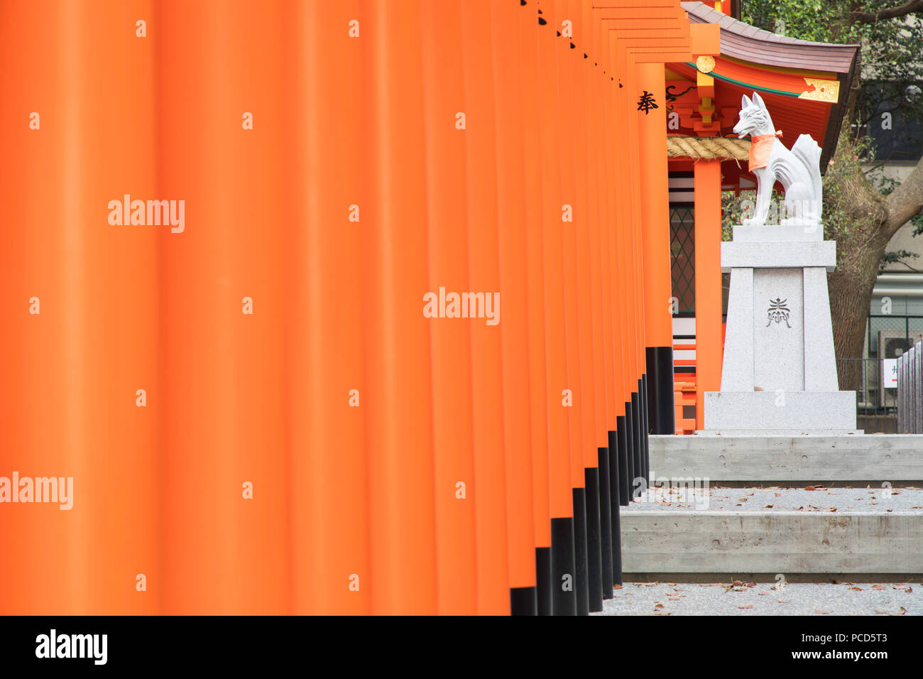 Torii gates at Ichinomiya shrine, Kobe, Kansai, Japan, Asia Stock Photo