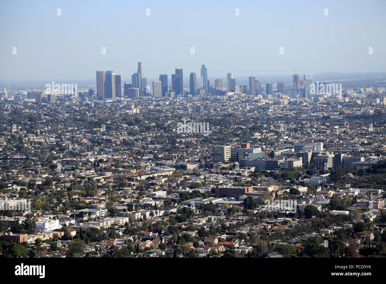 View of Downtown skyline from Hollywood Hills, Los Angeles, California, United States of America, North America Stock Photo