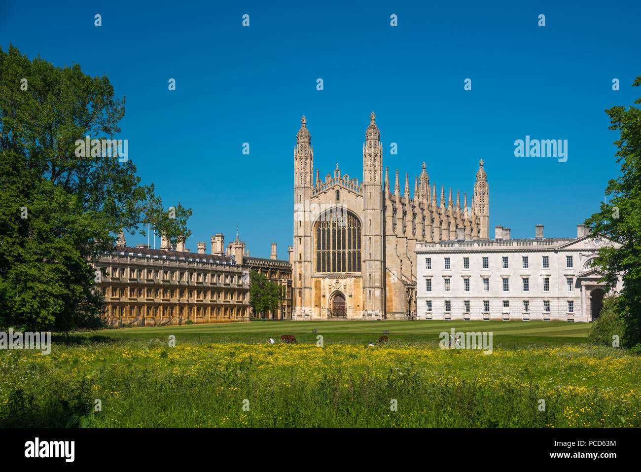 The Backs, King's College, King's College Chapel, Cambridge, Cambridgeshire, England, United Kingdom, Europe Stock Photo
