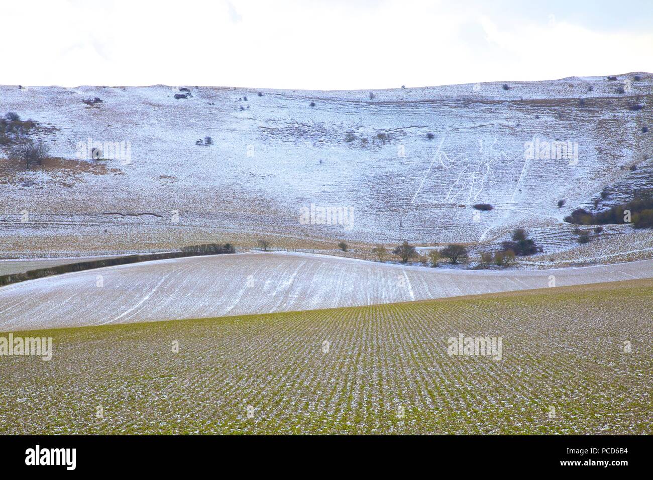 Snow covered Long Man of Wilmington, Wilmington, South Downs, East Sussex, England, United Kingdom, Europe Stock Photo