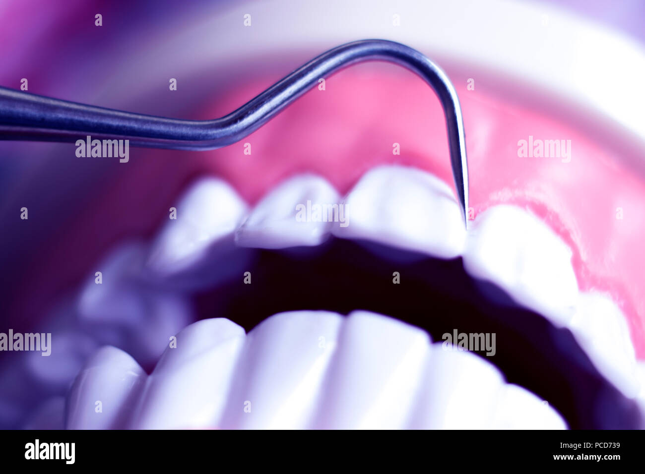 Dentist cleaning teeth with titanium metal tooth pick instrument to