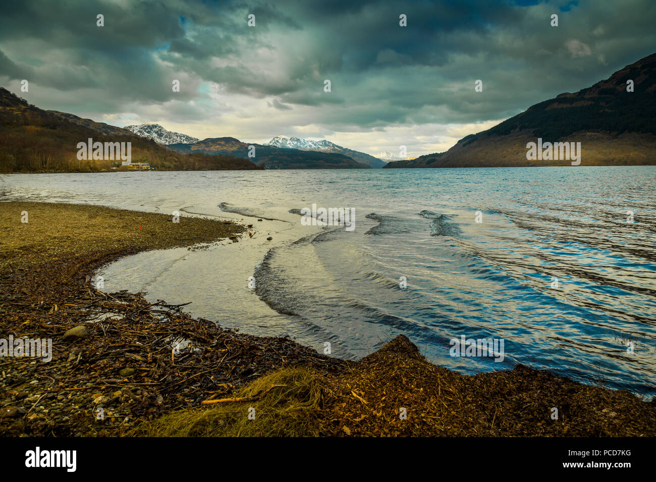 The shores of Loch Lomond in winter in the Loch Lomond and The Trossachs National Park, Stirling, Scotland, United Kingdom, Europe Stock Photo