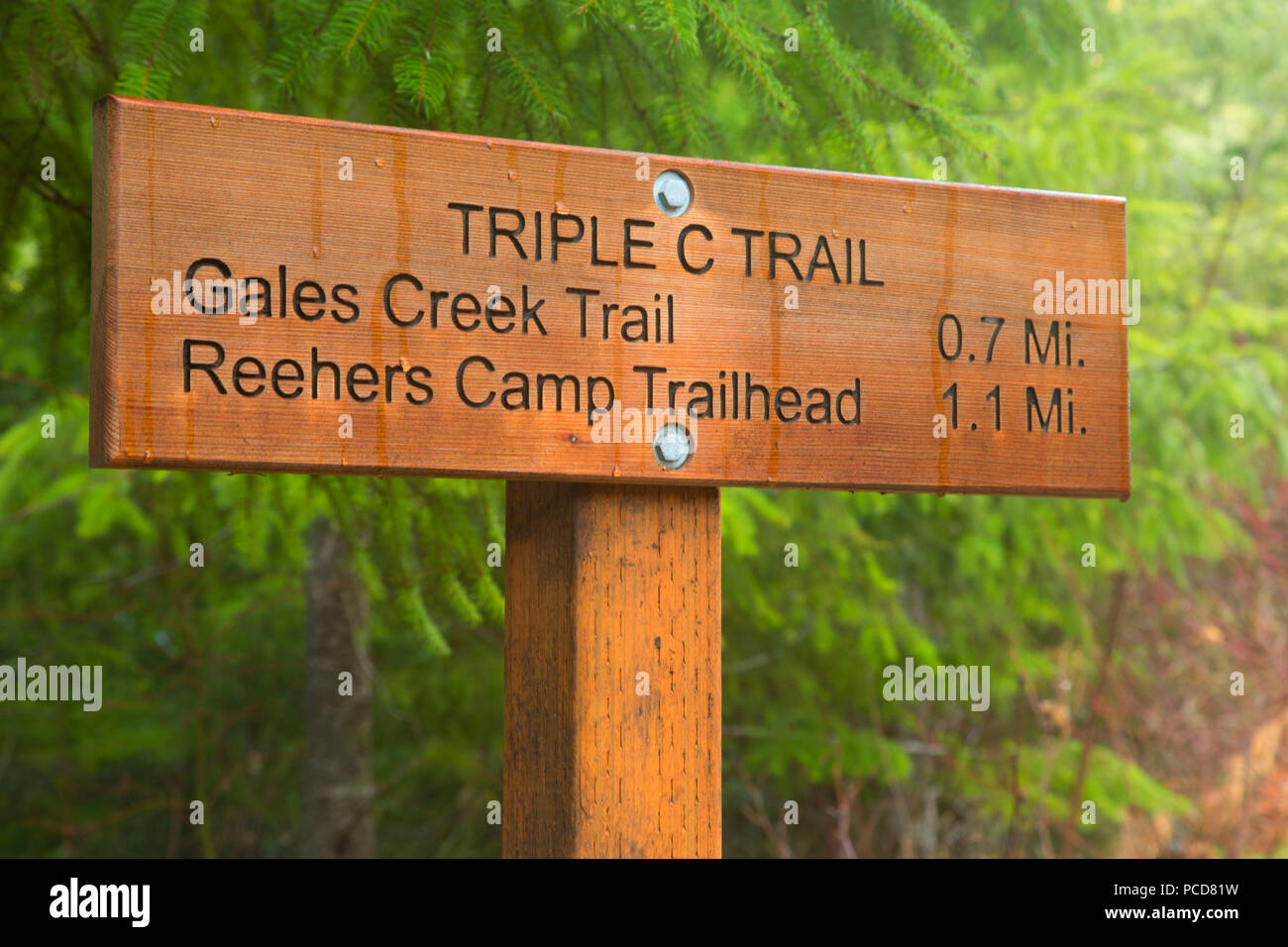 Triple C Trail sign, Tillamook State Forest, Oregon Stock Photo