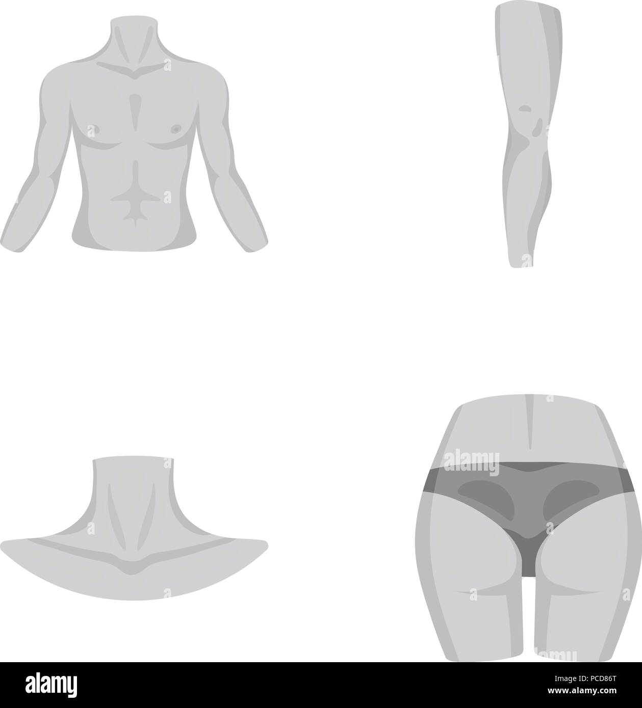 Part of the body, limb mono icons in set collection for design. Human ...