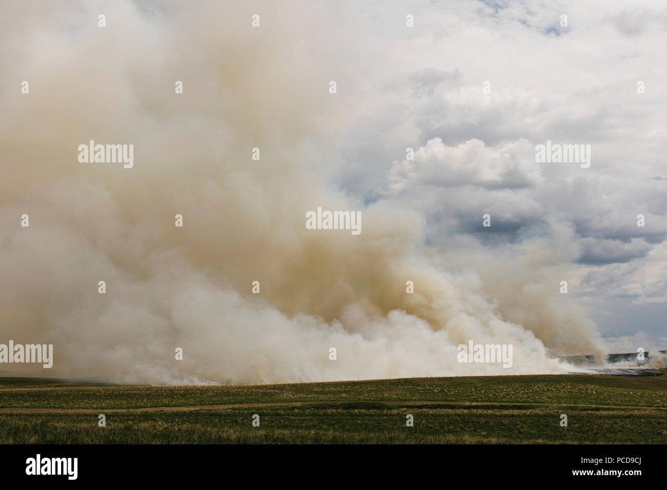 Smoke from controlled burn on farmland, seasonal burns to clear stubble