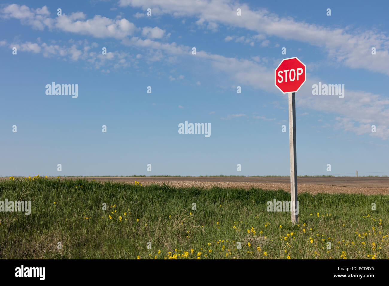 Stop sign along rural road and farm, near Cadillac, Saskatchewan ...
