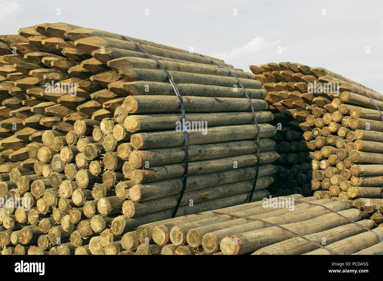 Piles of cut lumber, Eastend, Saskatchewan, Canada Stock Photo Alamy
