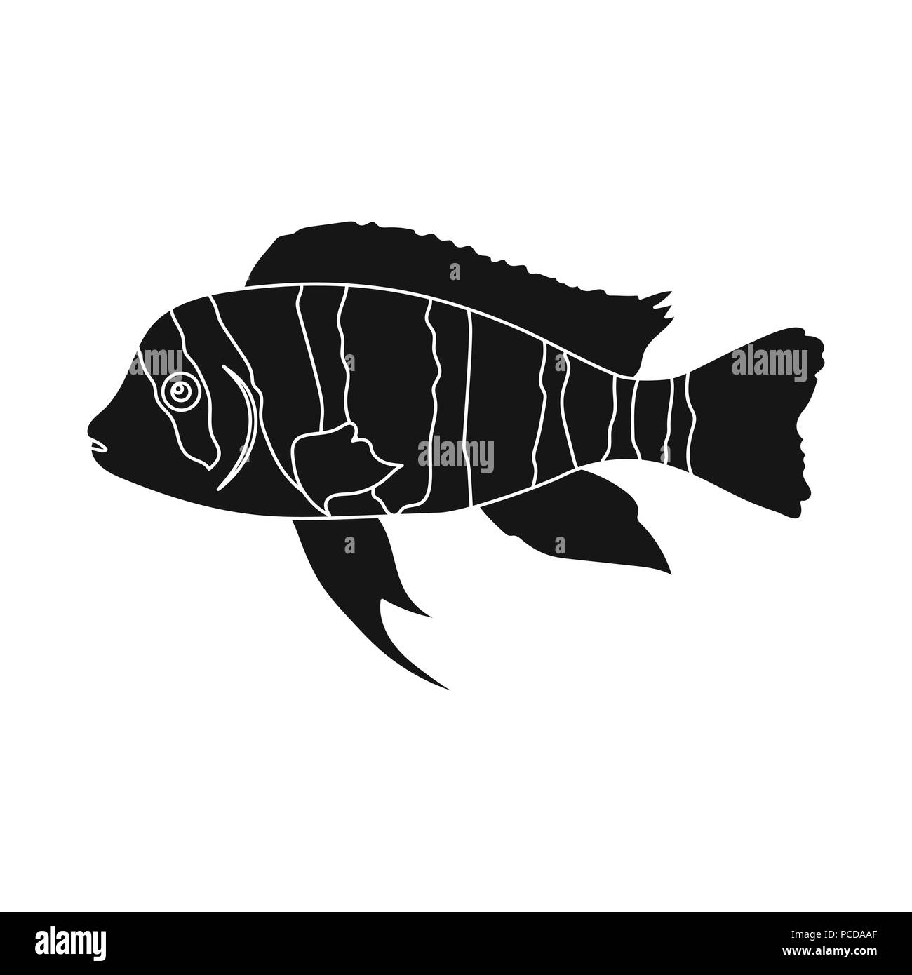 Frontosa Cichlid (Cyphotilapia Frontosa) fish icon black. Singe aquarium fish icon from the sea,ocean life black. Stock Vector