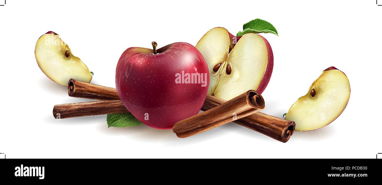 Cinnamon and red apples Stock Vector