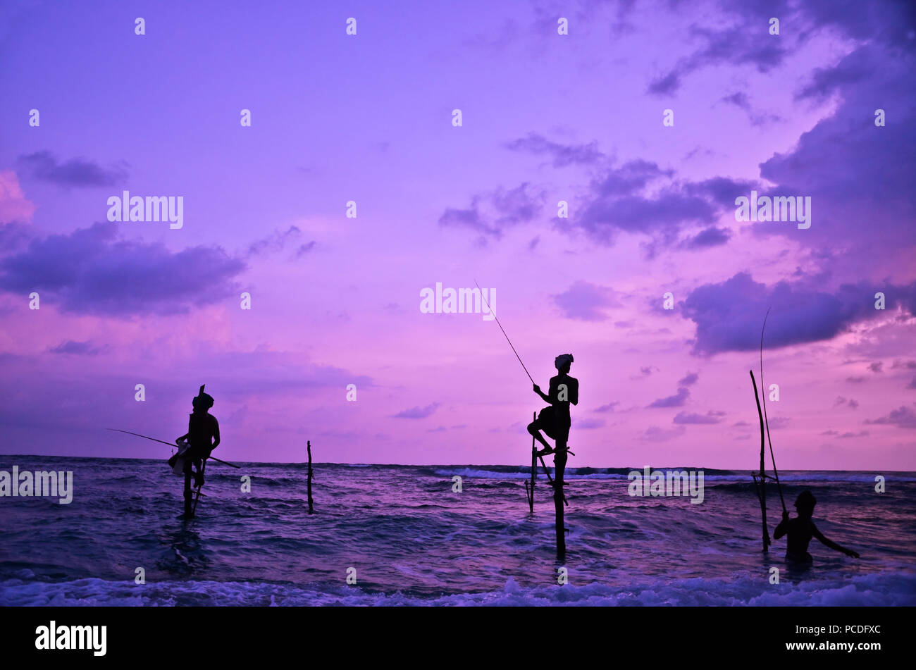 Traditional stilt fisherman in Sri Lanka Stock Photo - Alamy
