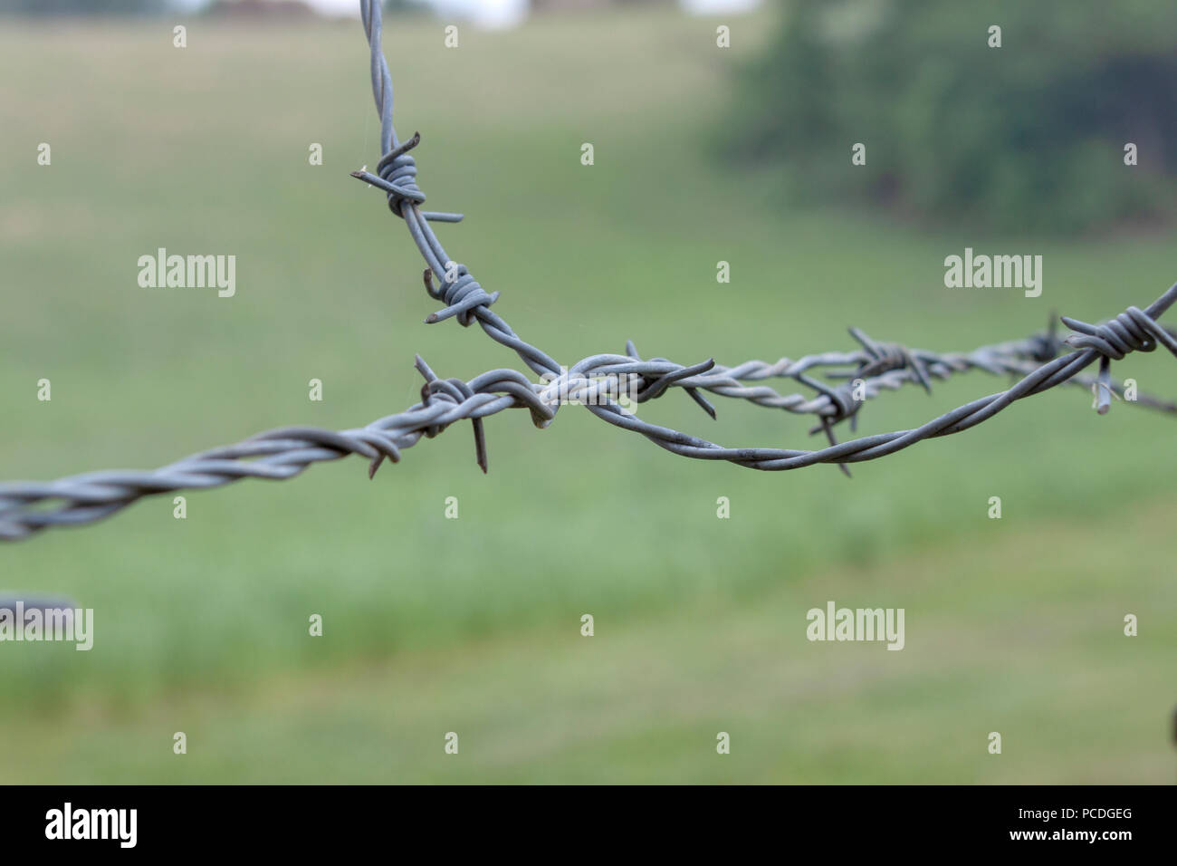 Close-up of two, crossing strands of barbed wire in a pasture on a former farm near Knoxville, Tennessee. Stock Photo