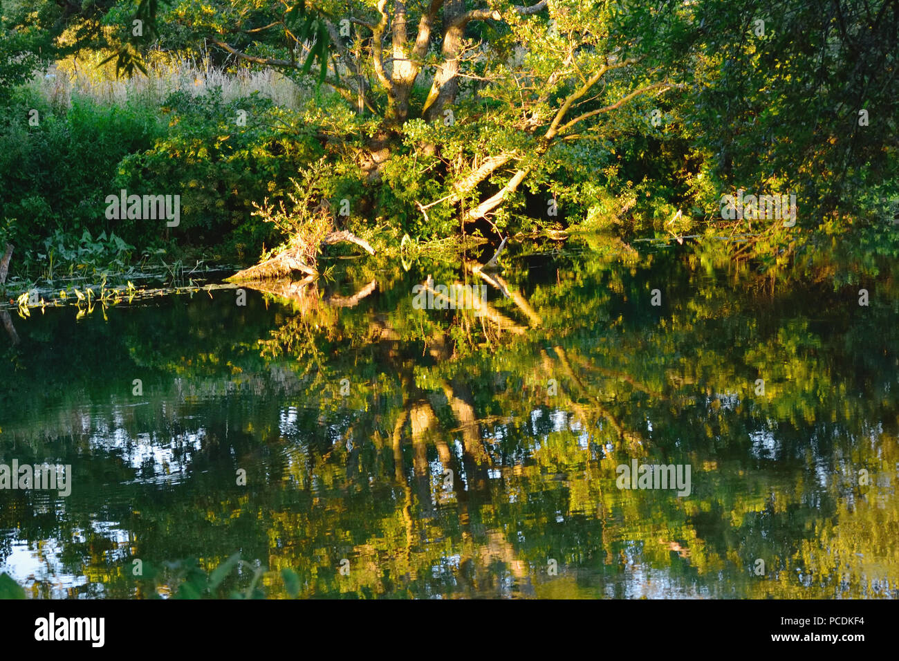 Reflections on the River Stour in Bournemouth Stock Photo - Alamy