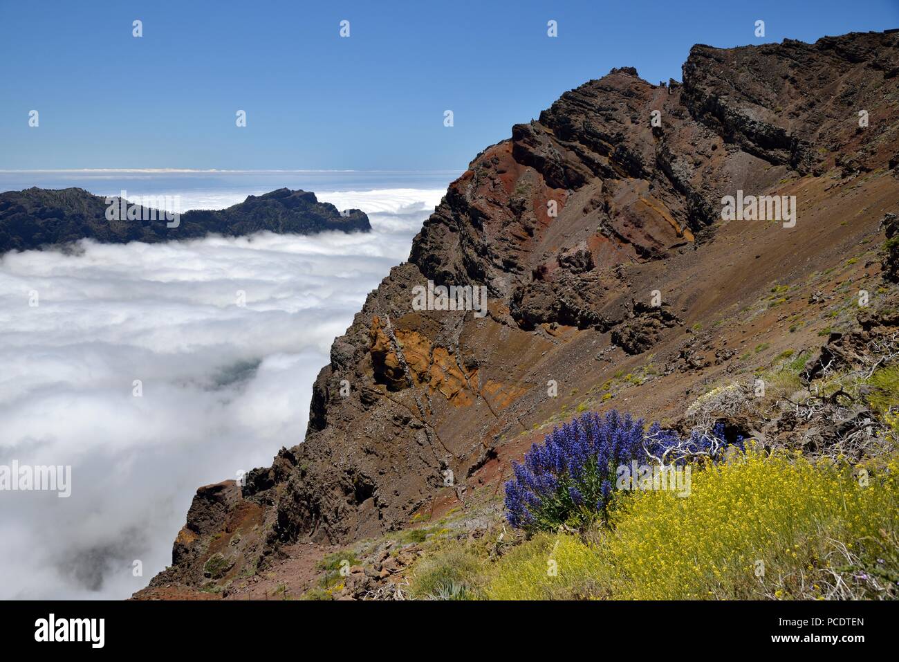 View from the Rim of Caldera de Taburiente, Roque de los Muchachos, La Palma, Canary Islands, Spain Stock Photo