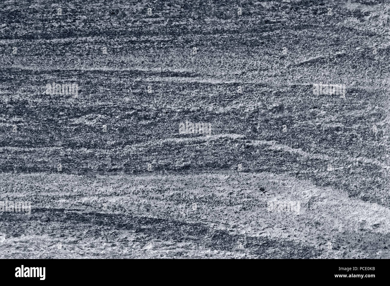 Migmatitic gneiss migmatite rock bands pattern, grey light dark banded granite texture macro closeup, large detailed textured silver gray horizontal Stock Photo