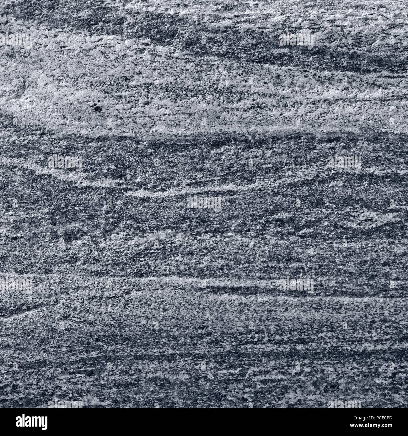 Migmatitic gneiss migmatite rock bands pattern, grey light dark banded granite texture macro closeup, large detailed textured silver gray horizontal Stock Photo