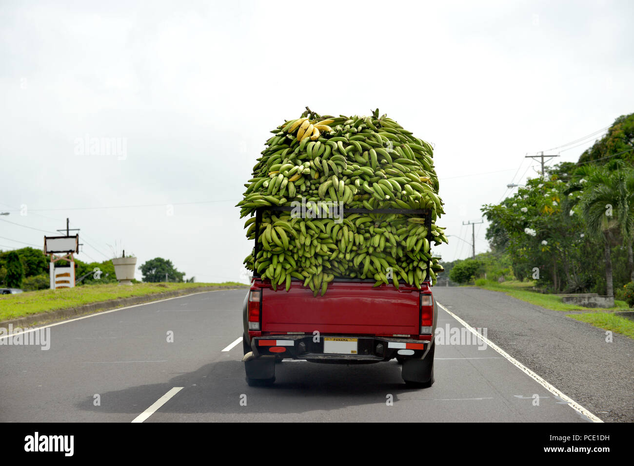 Transporting bananas hires stock photography and images Alamy