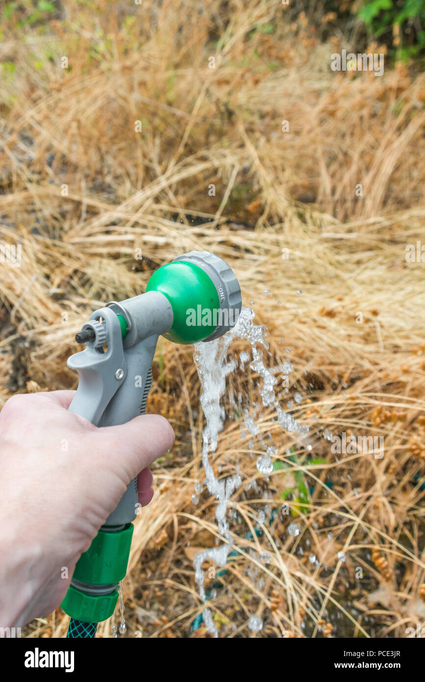 Garden hosepipe spray gun metaphor for 2018 heatwave, UK drought