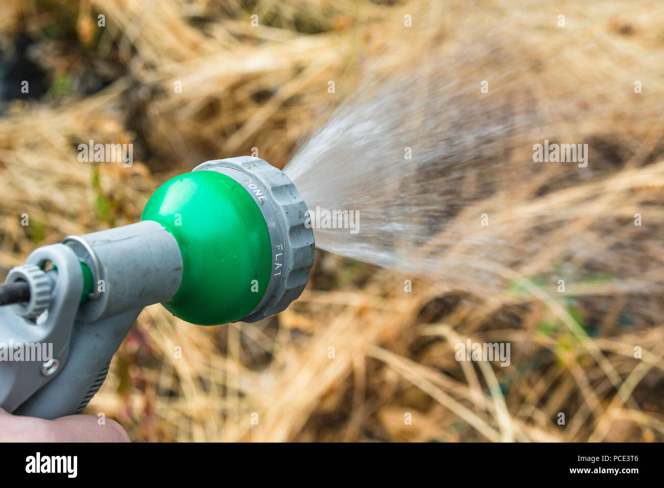 Garden hosepipe spray gun as metaphor for 2018 heatwave and UK
