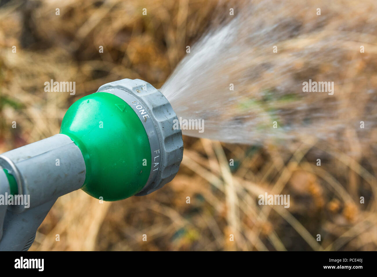 Garden hosepipe spray gun as metaphor for 2018 heatwave and UK
