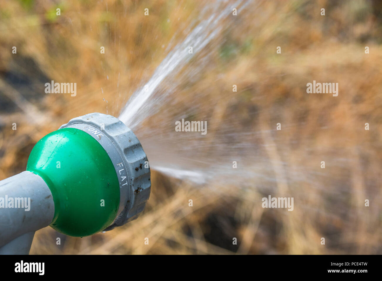 Garden hosepipe spray gun as metaphor for 2018 heatwave and UK