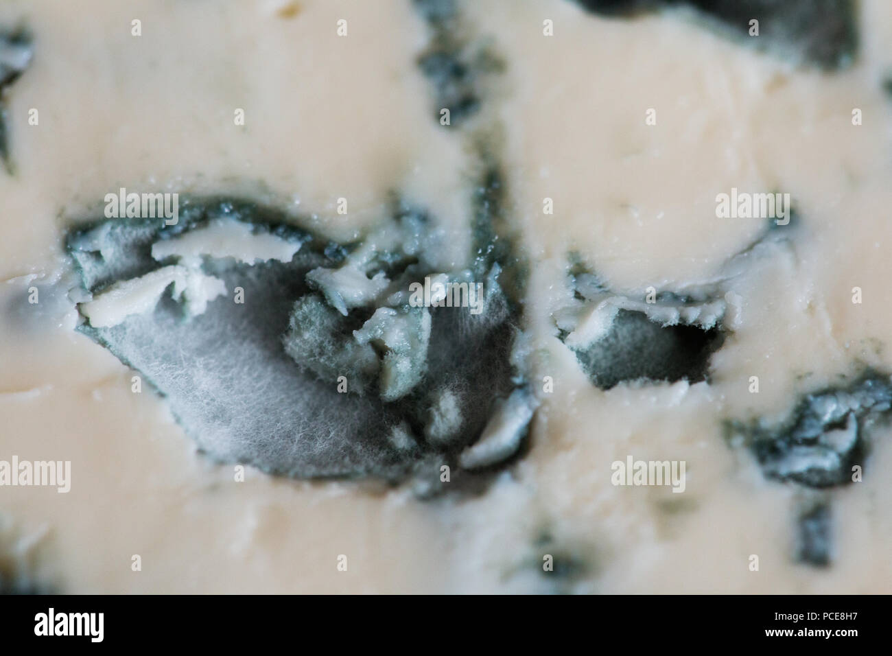 Close-up view of French froume d'Ambert blue cheese Stock Photo