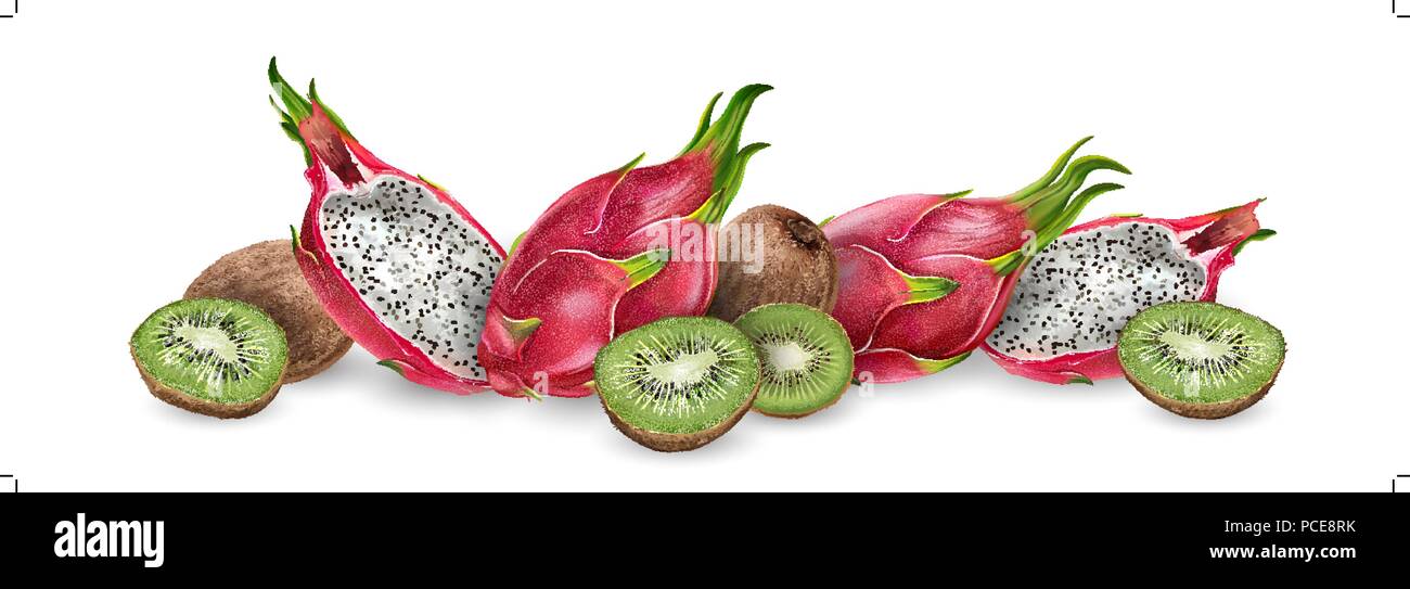 Dragon fruit and kiwi Stock Vector Image & Art Alamy