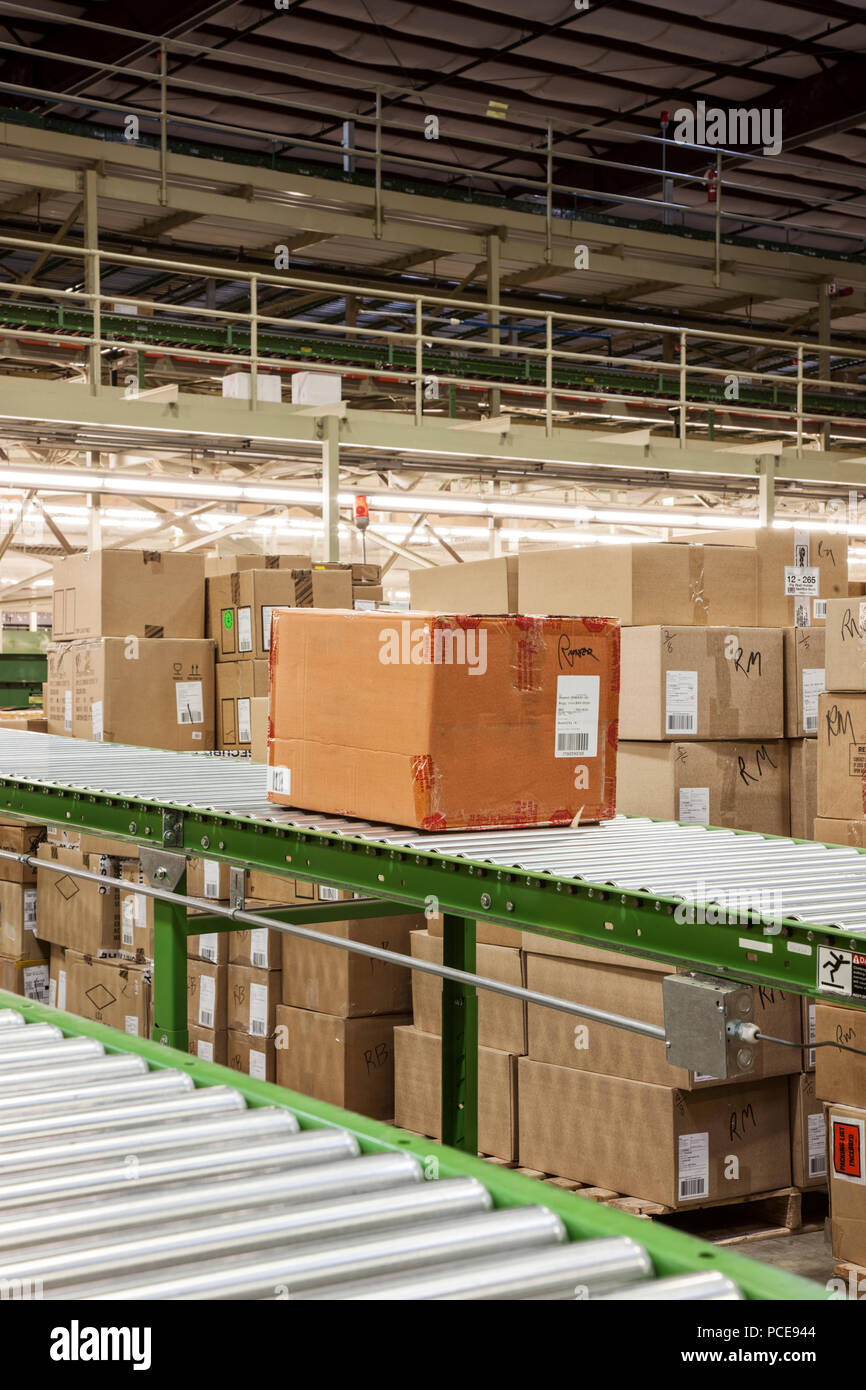 Conveyor belt sytem and cardboard boxes of products in a distribution warehouse. Stock Photo