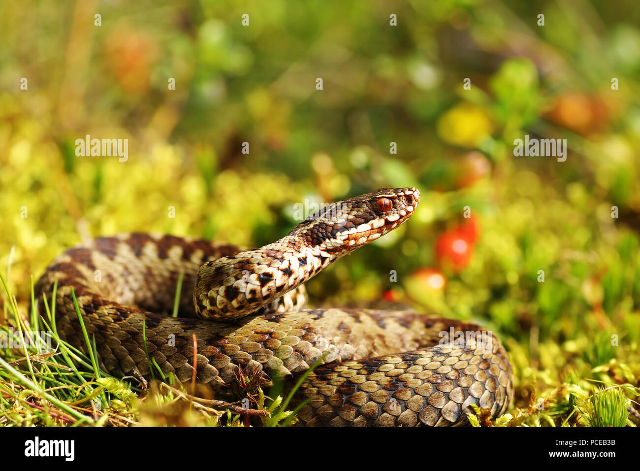 Full adder background hires stock photography and images Alamy