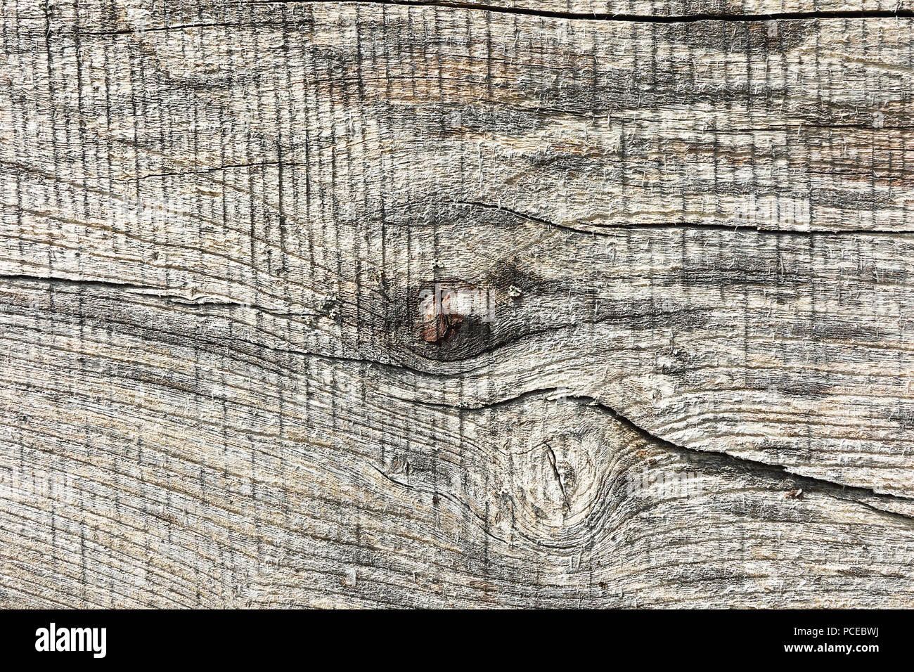 elm wood plank surface, real texture for your design Stock Photo