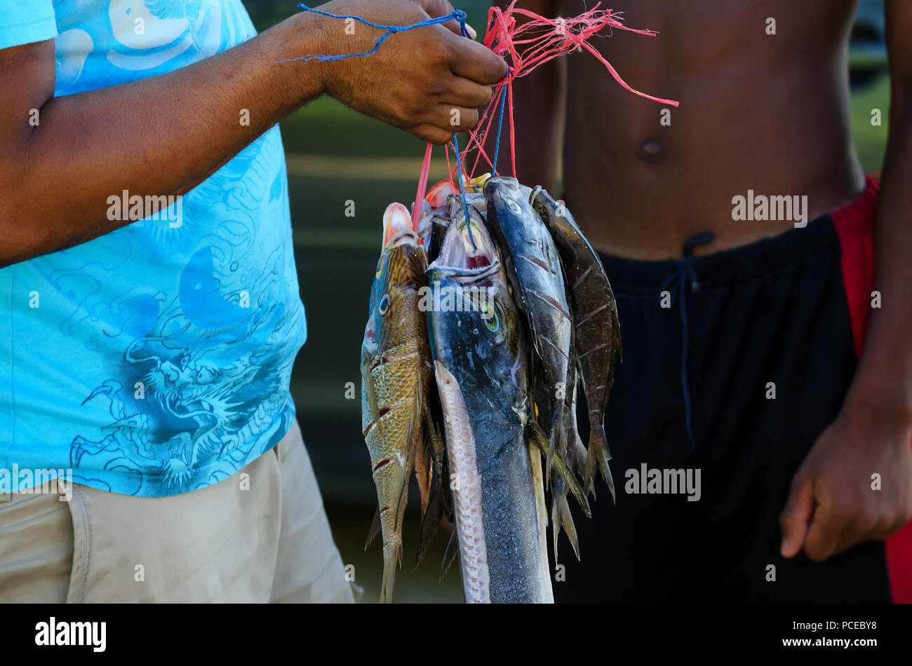 Thread fish hi-res stock photography and images - Alamy