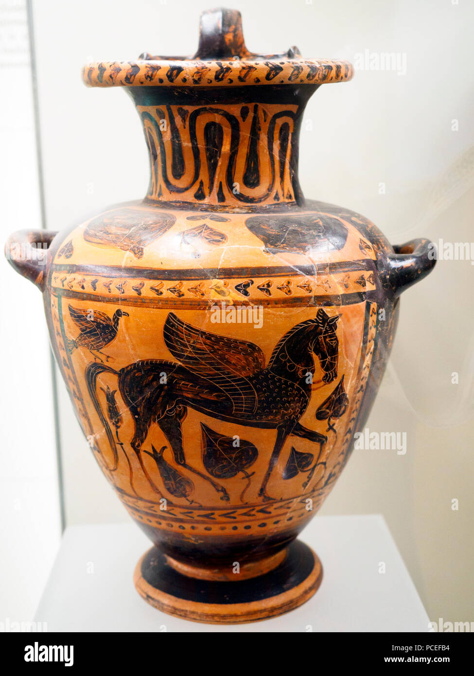 Etruscan vessel  with black-figure winged horse, painter of Micali 520-510 BC. Necropolis of the Cuccumella - National Etruscan Museum of Villa Giulia - Rome, Italy Stock Photo