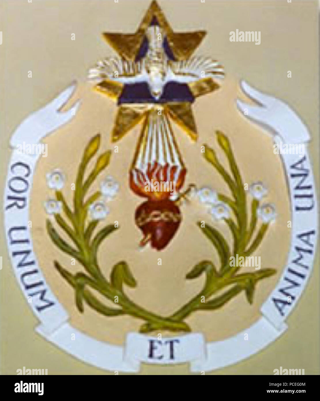 57 Armoiries de la Congrégation du Saint-Esprit et du Saint-Cœur de Marie  Stock Photo - Alamy